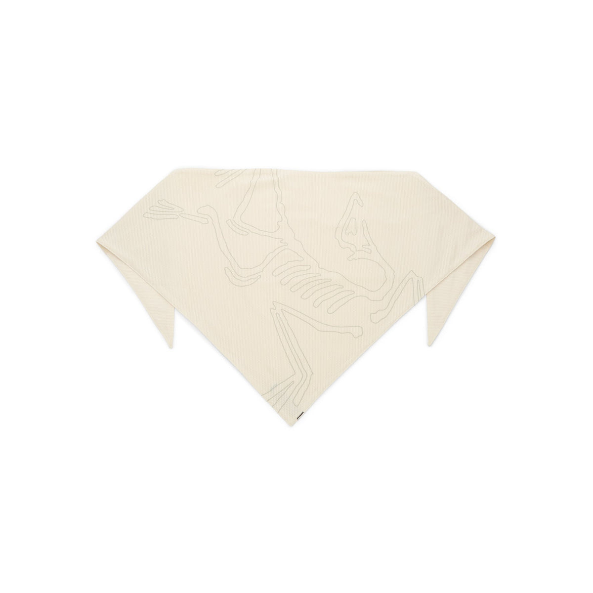 Bandana